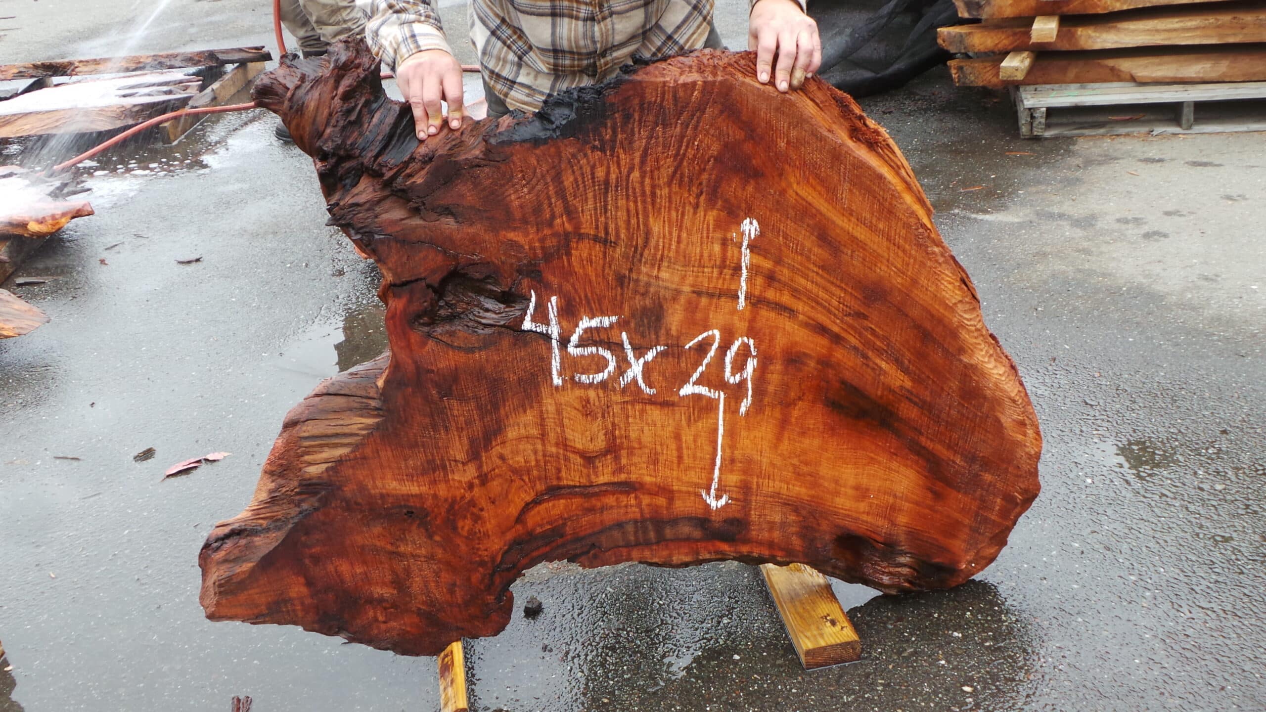 Redwood Burl Live Edge Slab