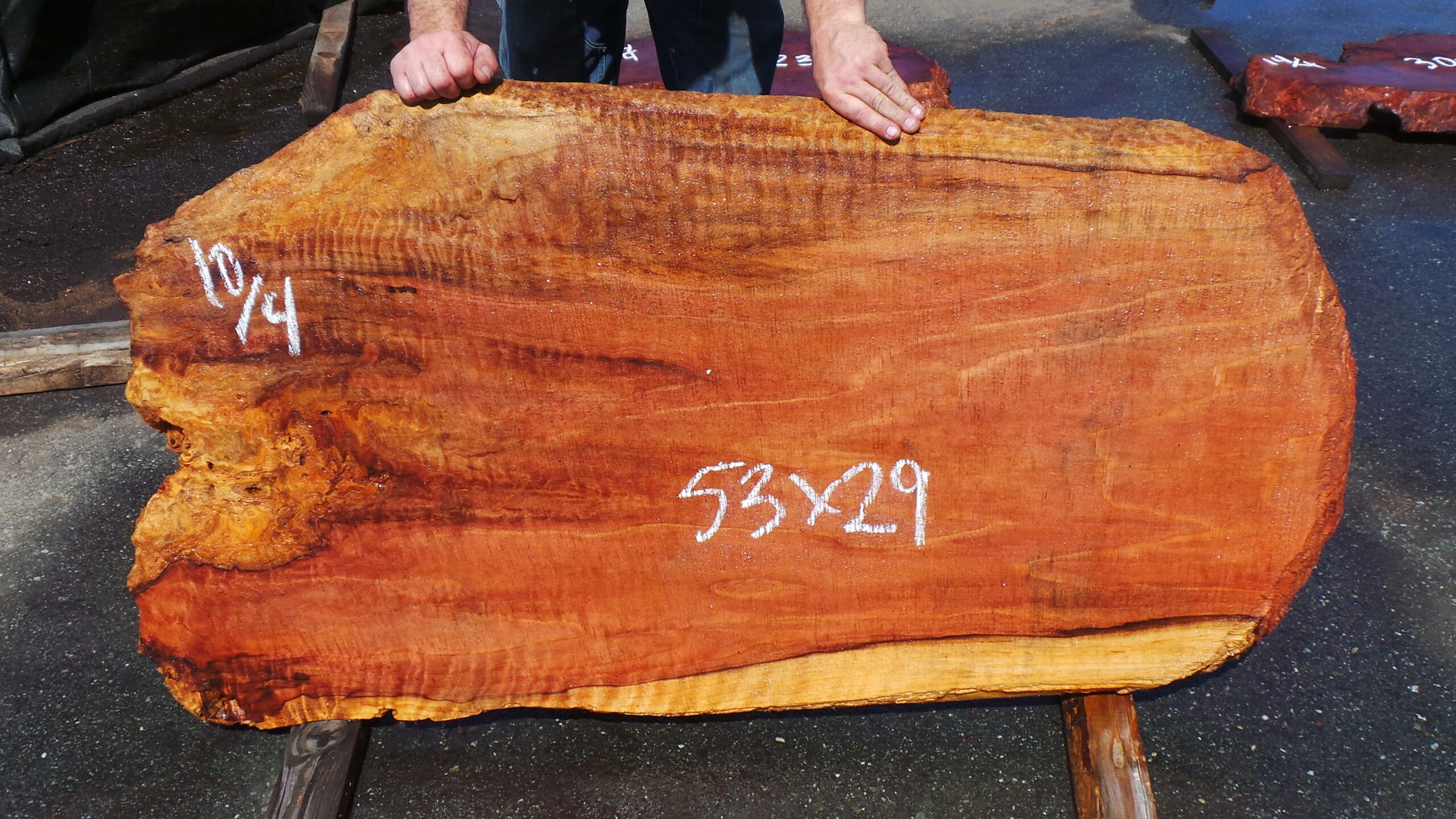 Redwood Burl slab measuring 53 inches by 29 inches and 2.5 inches thick.