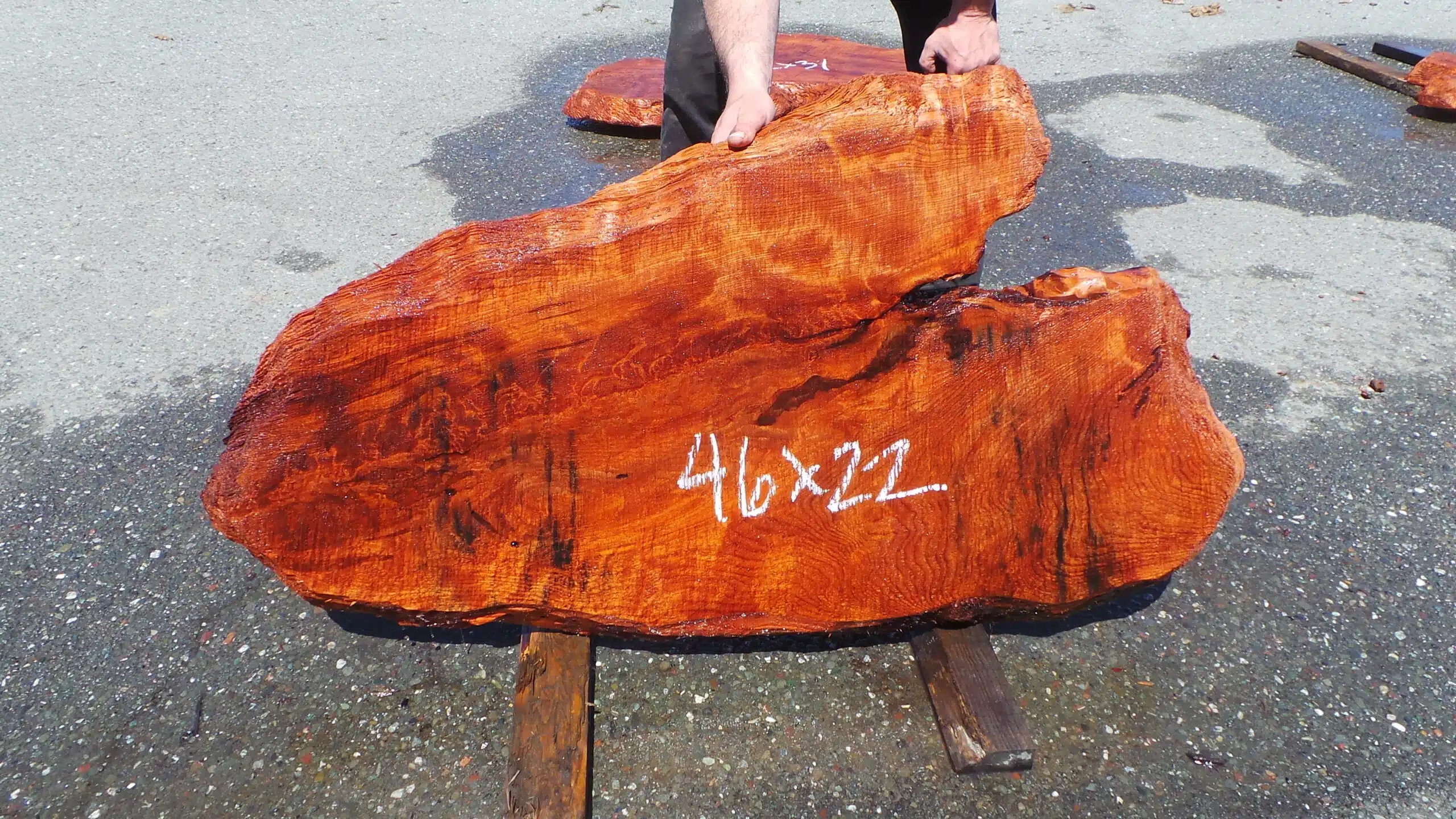 Redwood Burl Slab