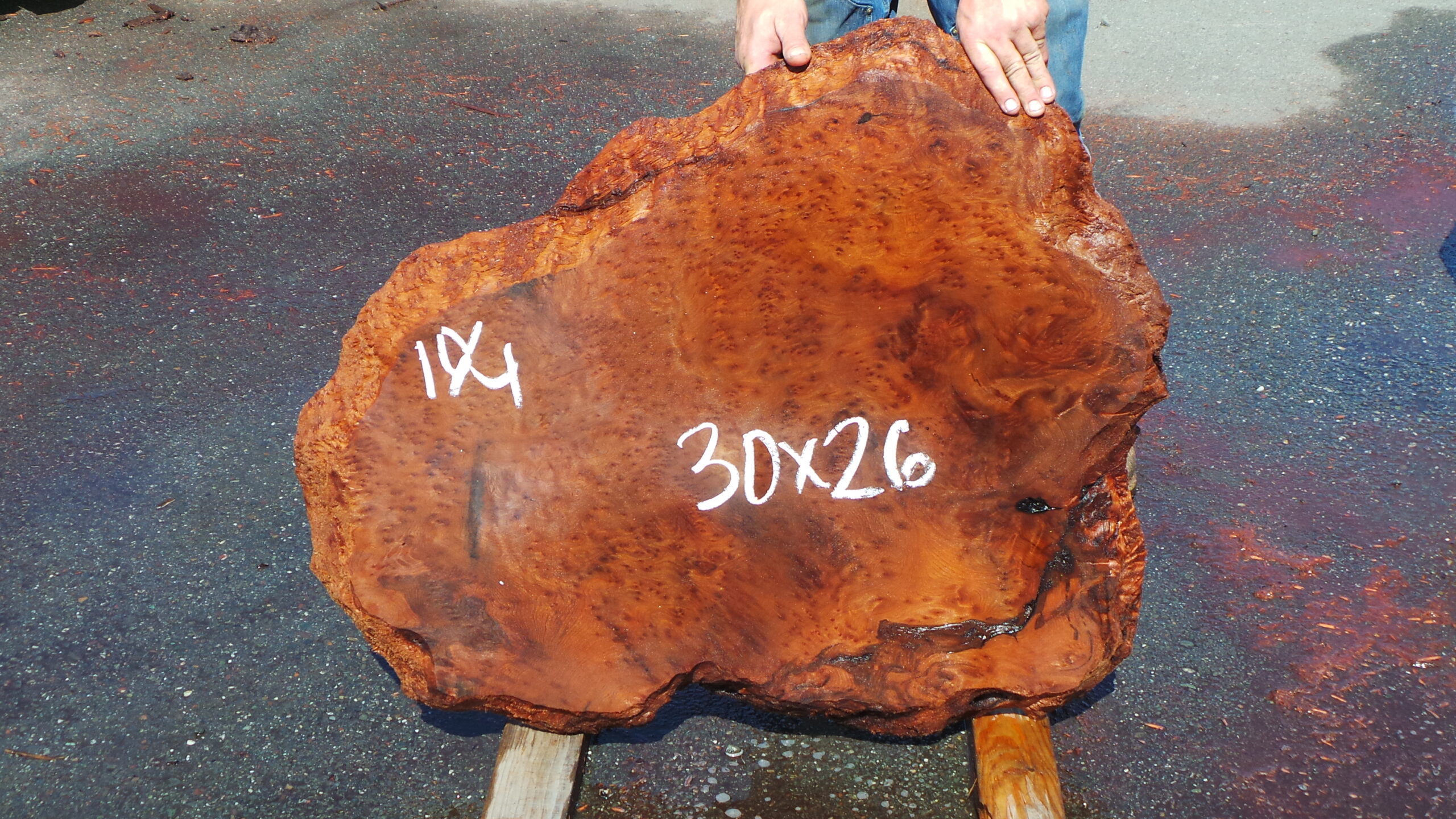 Redwood Burl slab measuring 30 inches by 26 inches and 2.5 inches thick.