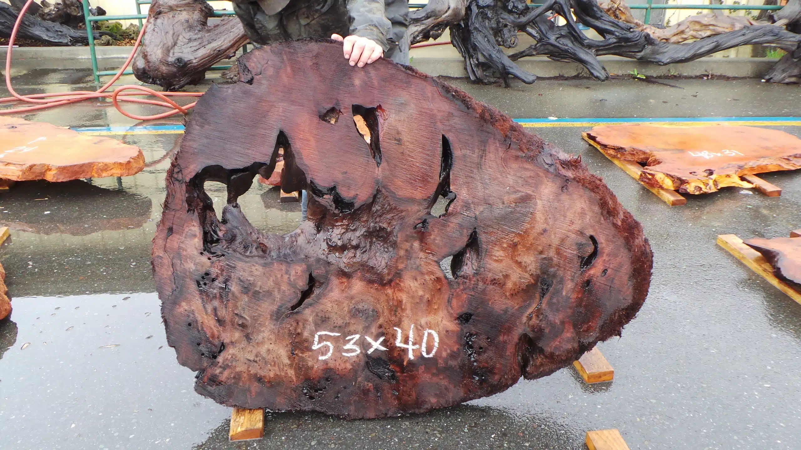 Redwood Burl Live Edge Slab