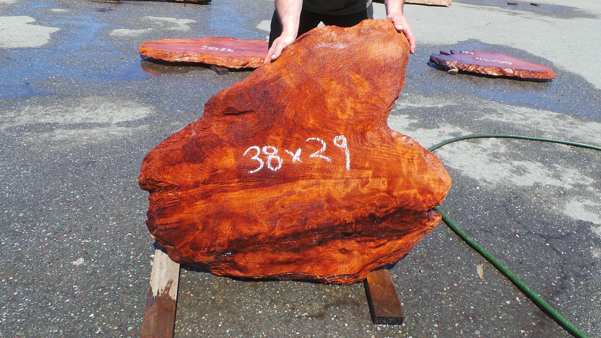 Redwood Burl Slab
