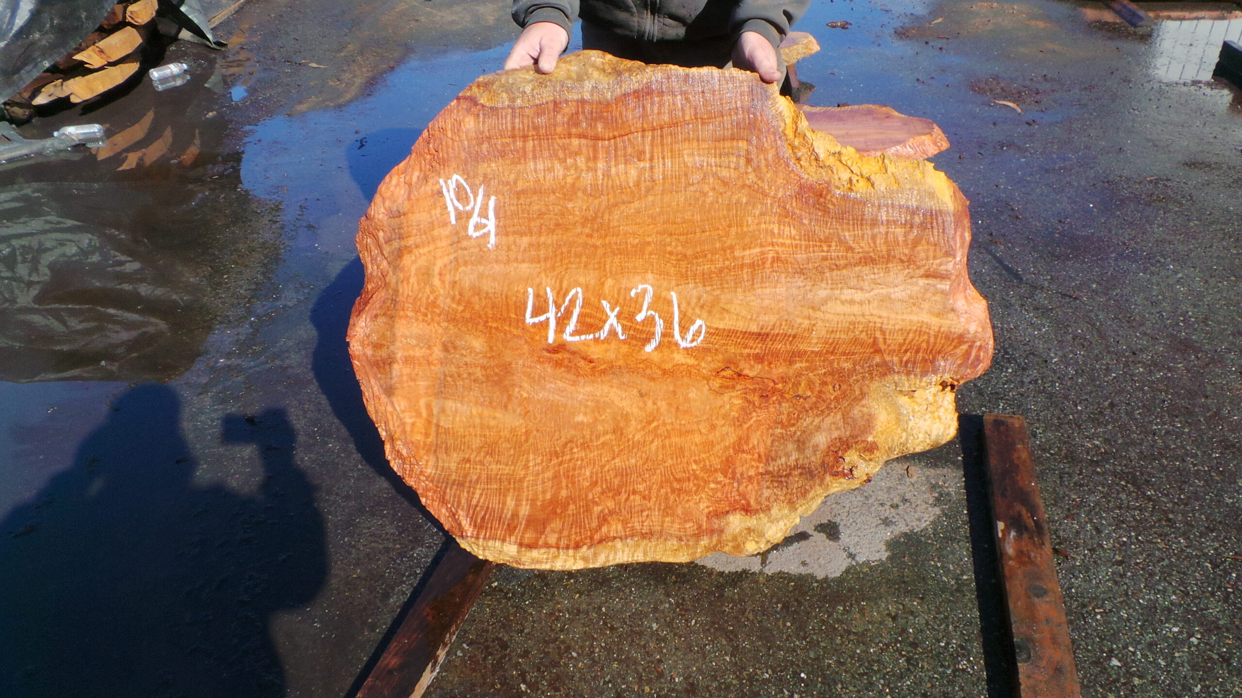 Redwood Burl slab measuring 42 inches by 36 inches and 2.5 inches thick.