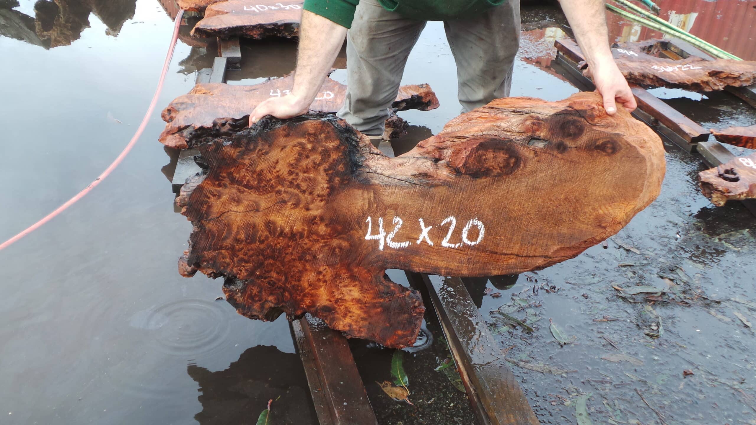 Redwood Burl Live Edge Slab