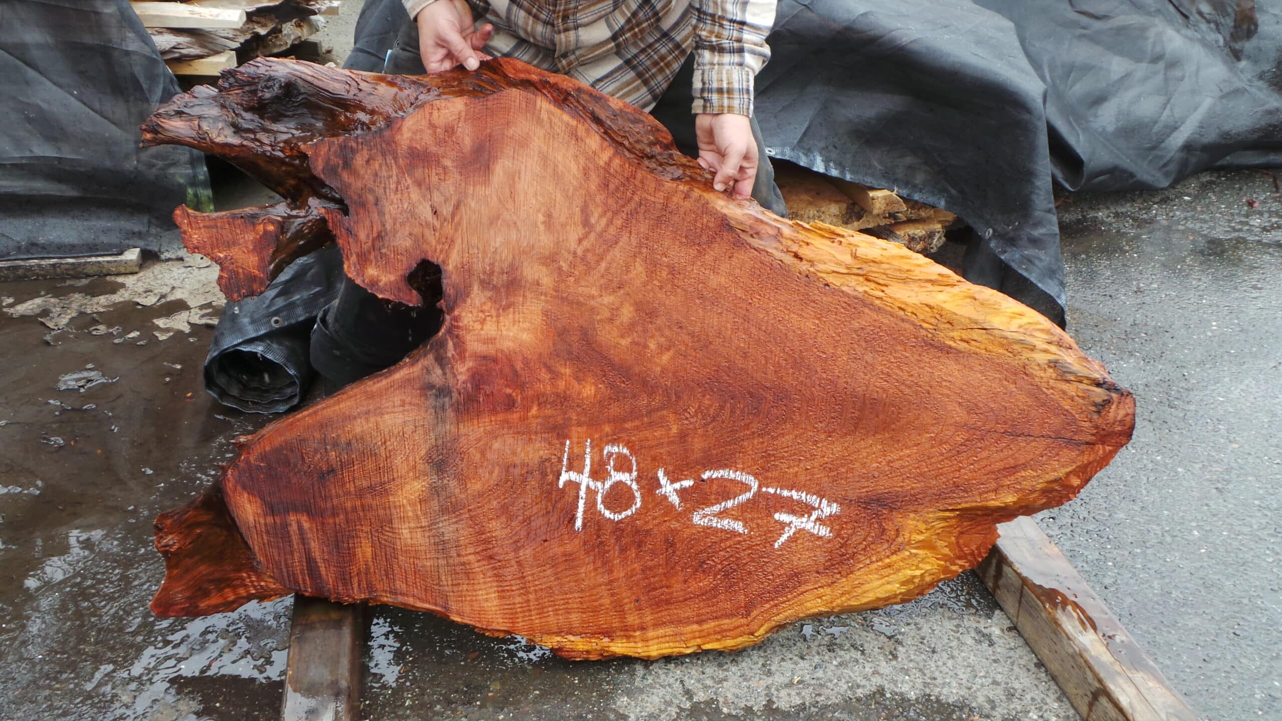 Redwood Burl Live Edge Slab