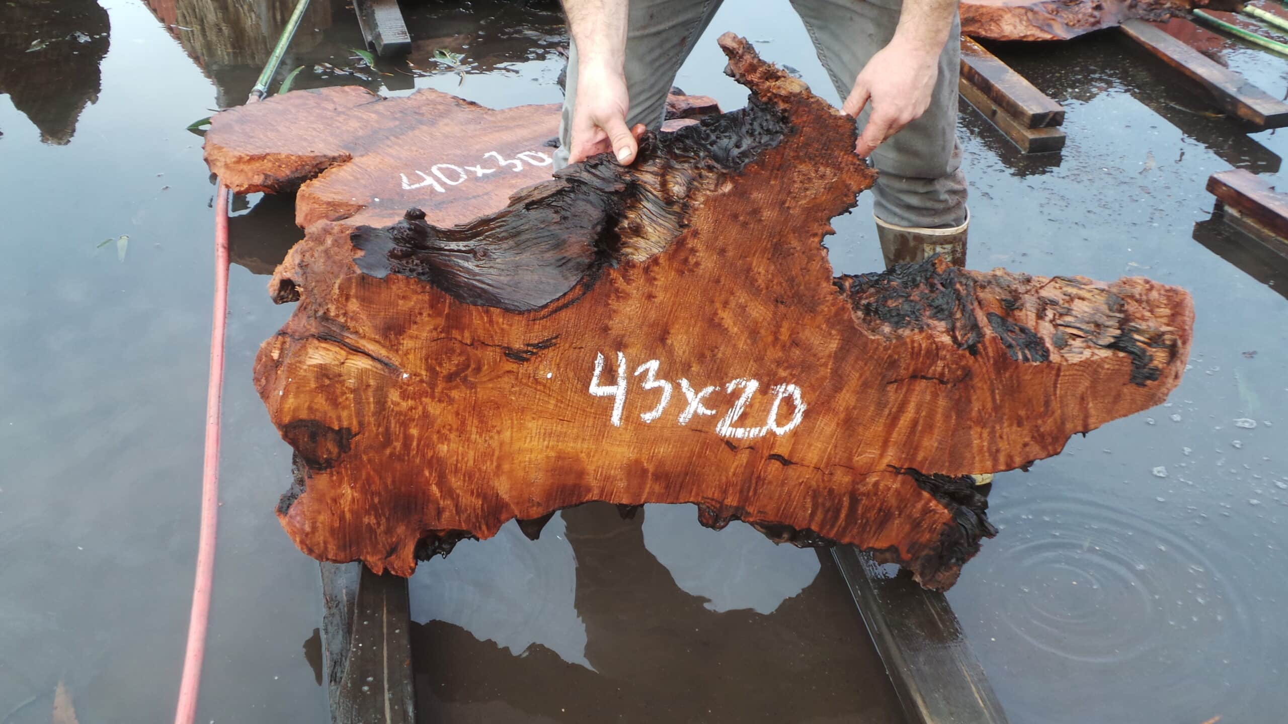 Redwood Burl Live Edge Slab