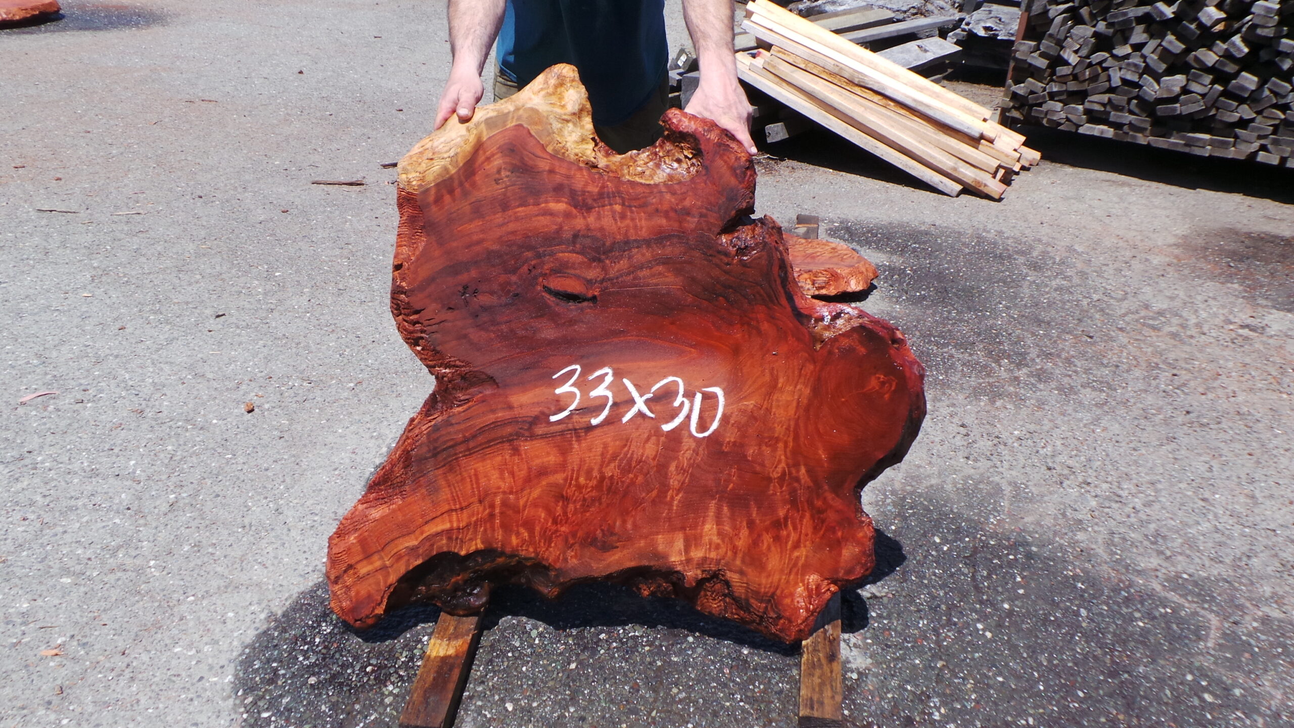 Redwood Burl Slab