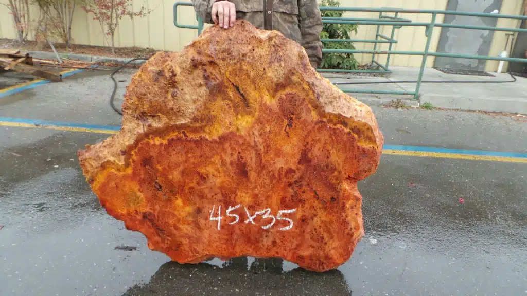 Burl Wood Table Slab