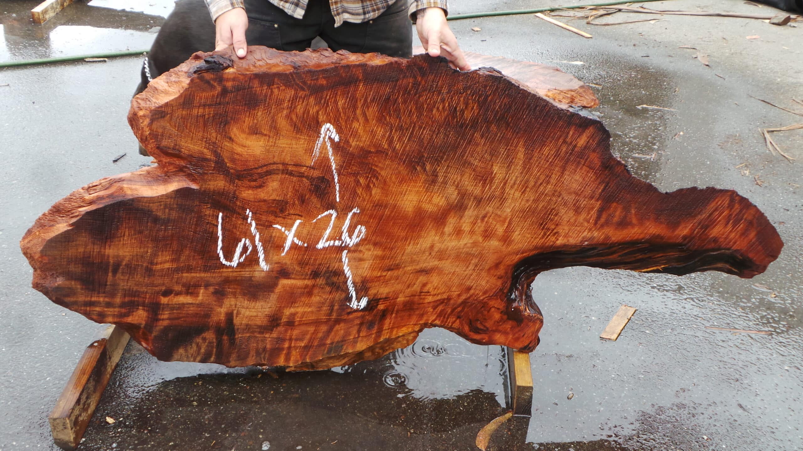 Redwood Burl Live Edge Slab