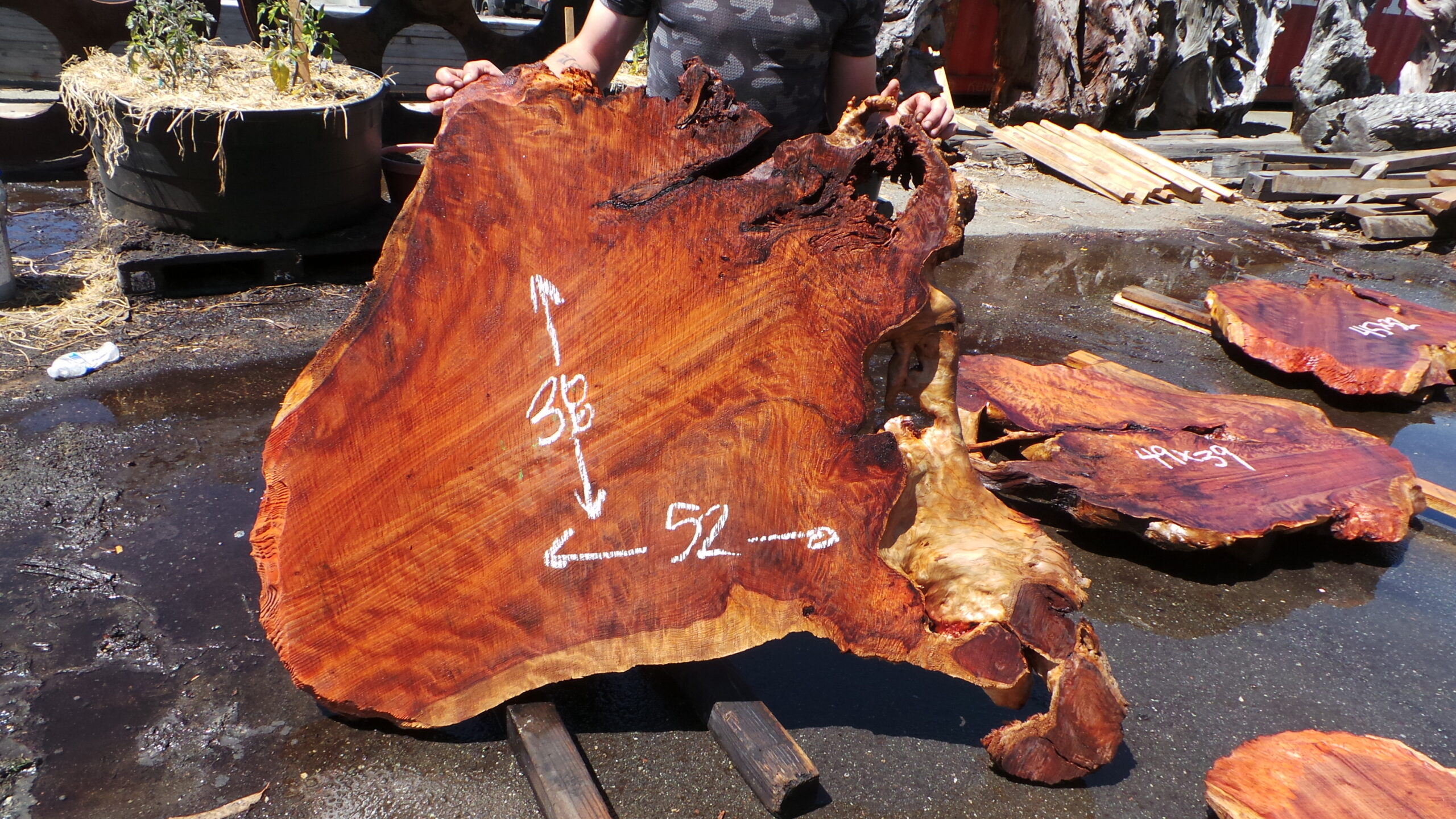 Redwood Burl Live Edge Slab