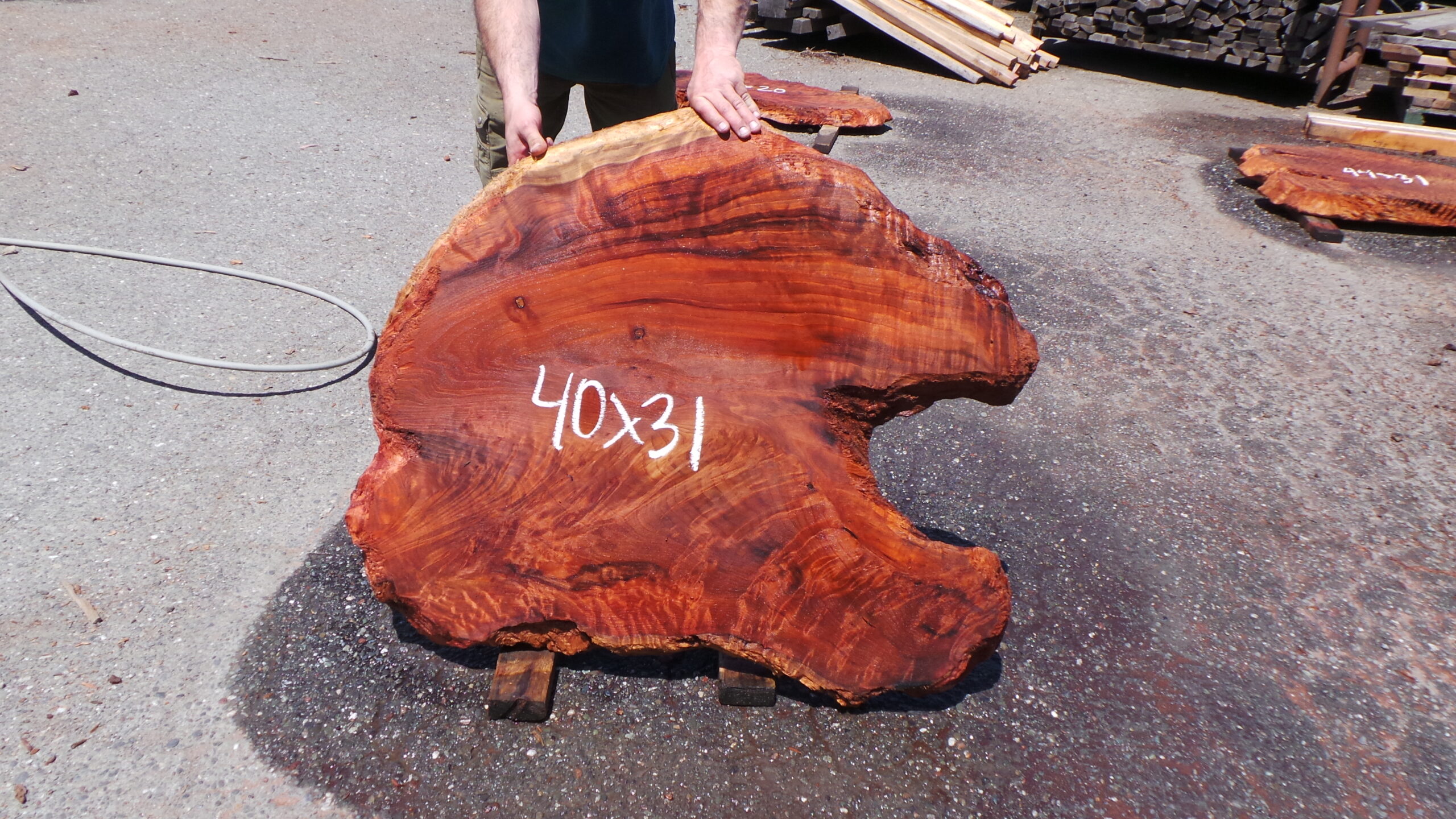 Redwood Burl Slab
