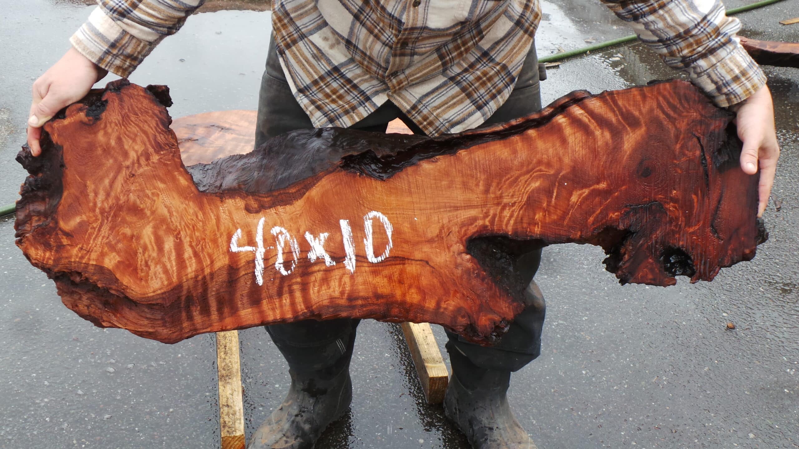 Redwood Burl Live Edge Slab