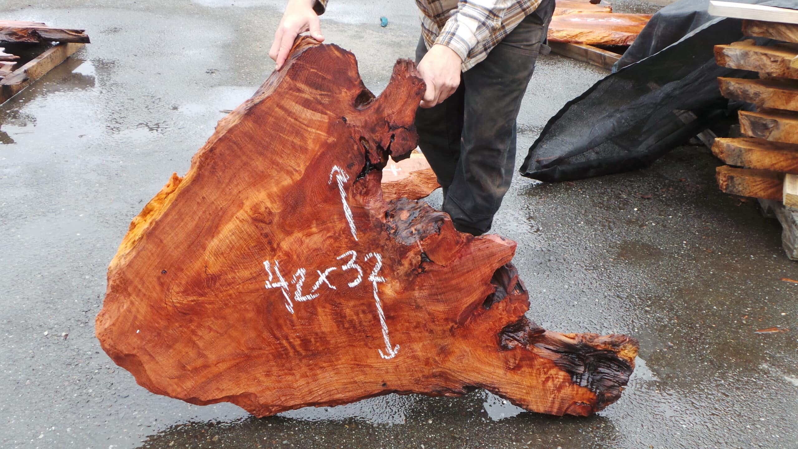 Redwood Burl Live Edge Slab