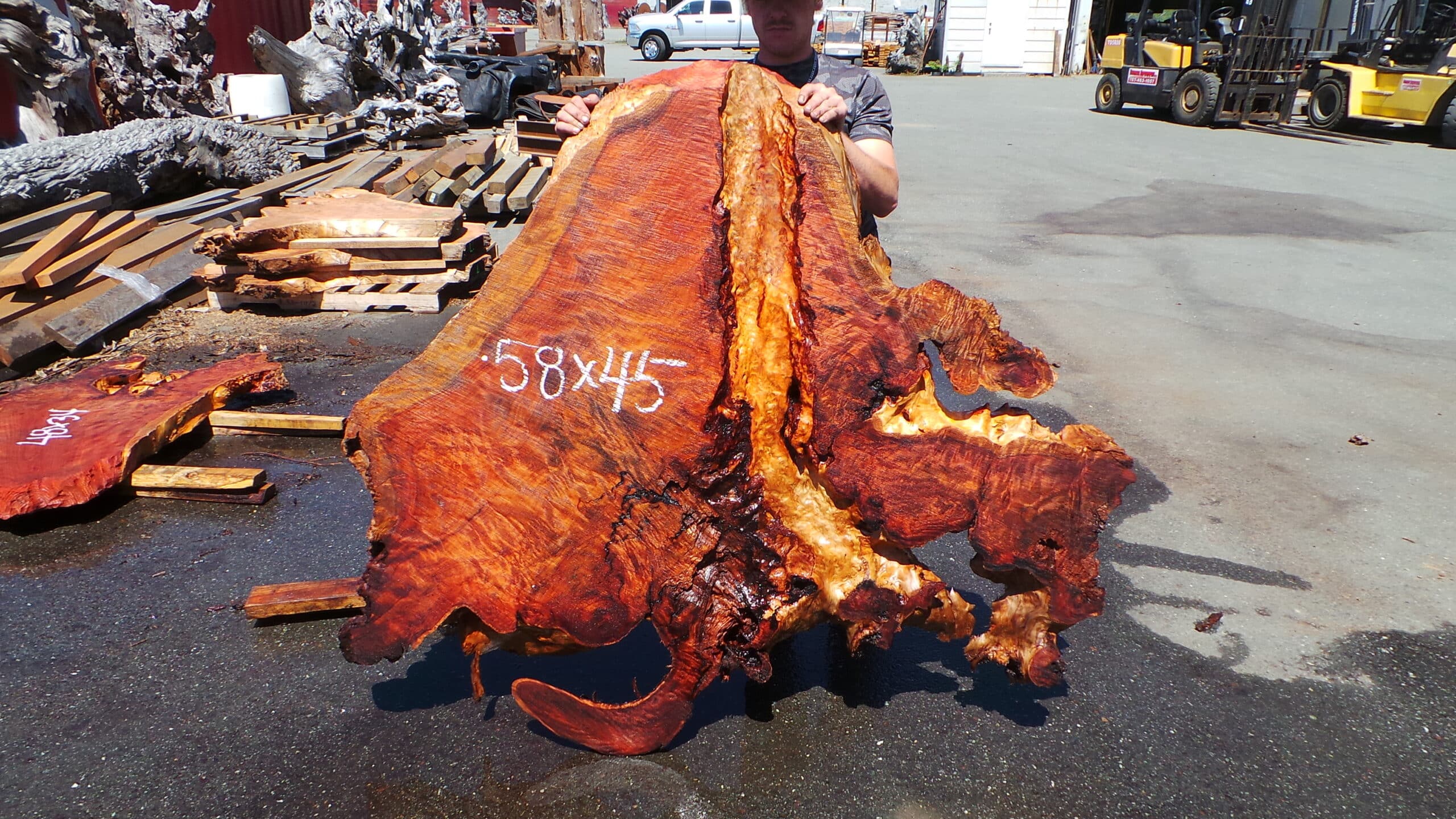 Redwood Burl Live Edge Slab