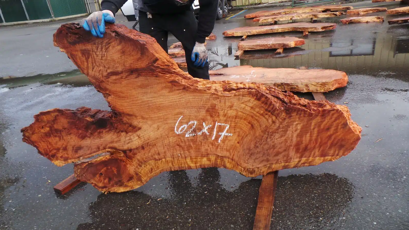 Redwood Burl Crafting Slab
