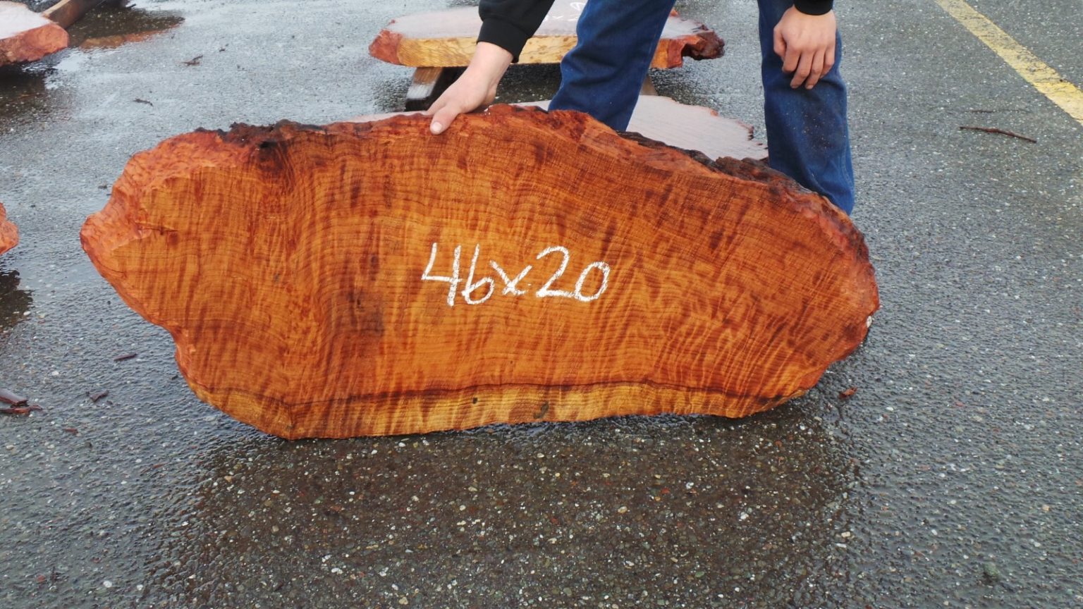 Redwood Burl Slabs 4 Redwood Burl Inc 3281