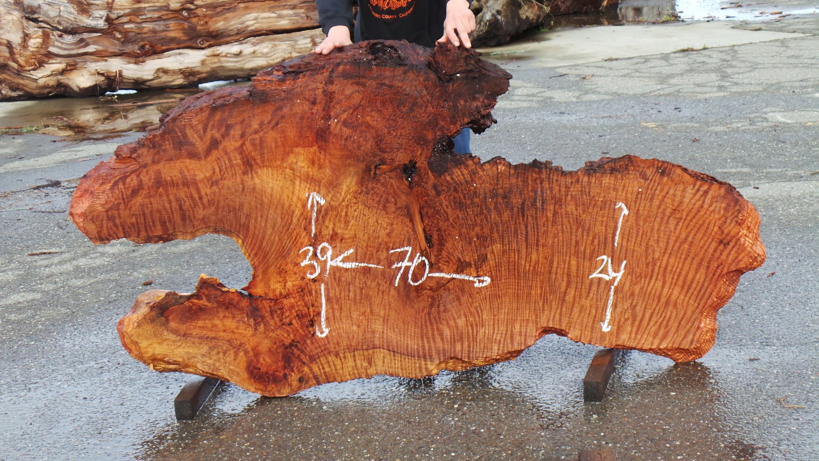Beautiful Redwood Slab Conversation Piece