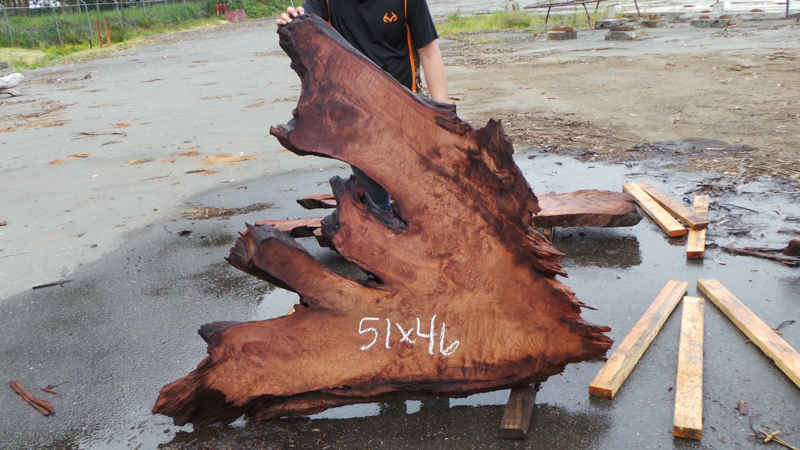 Redwood Slab for Single Slab Wood Table