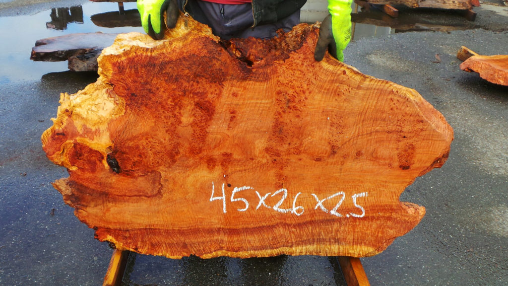 Redwood Burl Slabs for Sale Redwood Burl Slabs 3 Redwood Burl Inc.