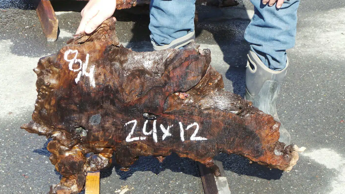 Dark Redwood Burl Slab - Unique Shape for Abstract Rustic Furniture
