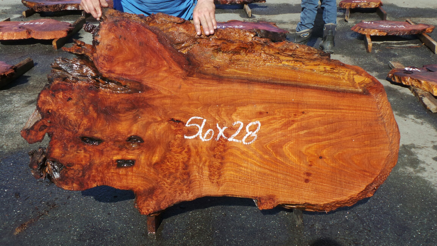 Redwood Burl Slabs for Sale Redwood Burl Slabs 3 Redwood Burl Inc.