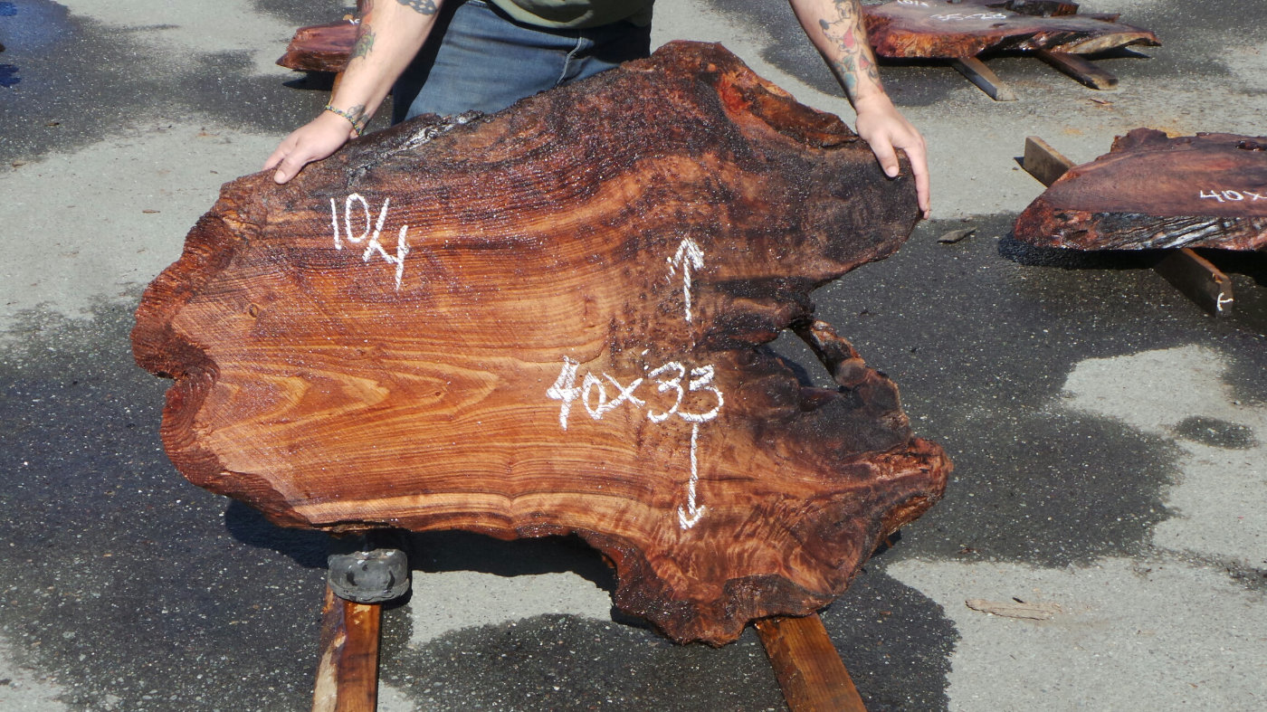 Wild Redwood Burl - Fit for Burl Table Top or Wall Art