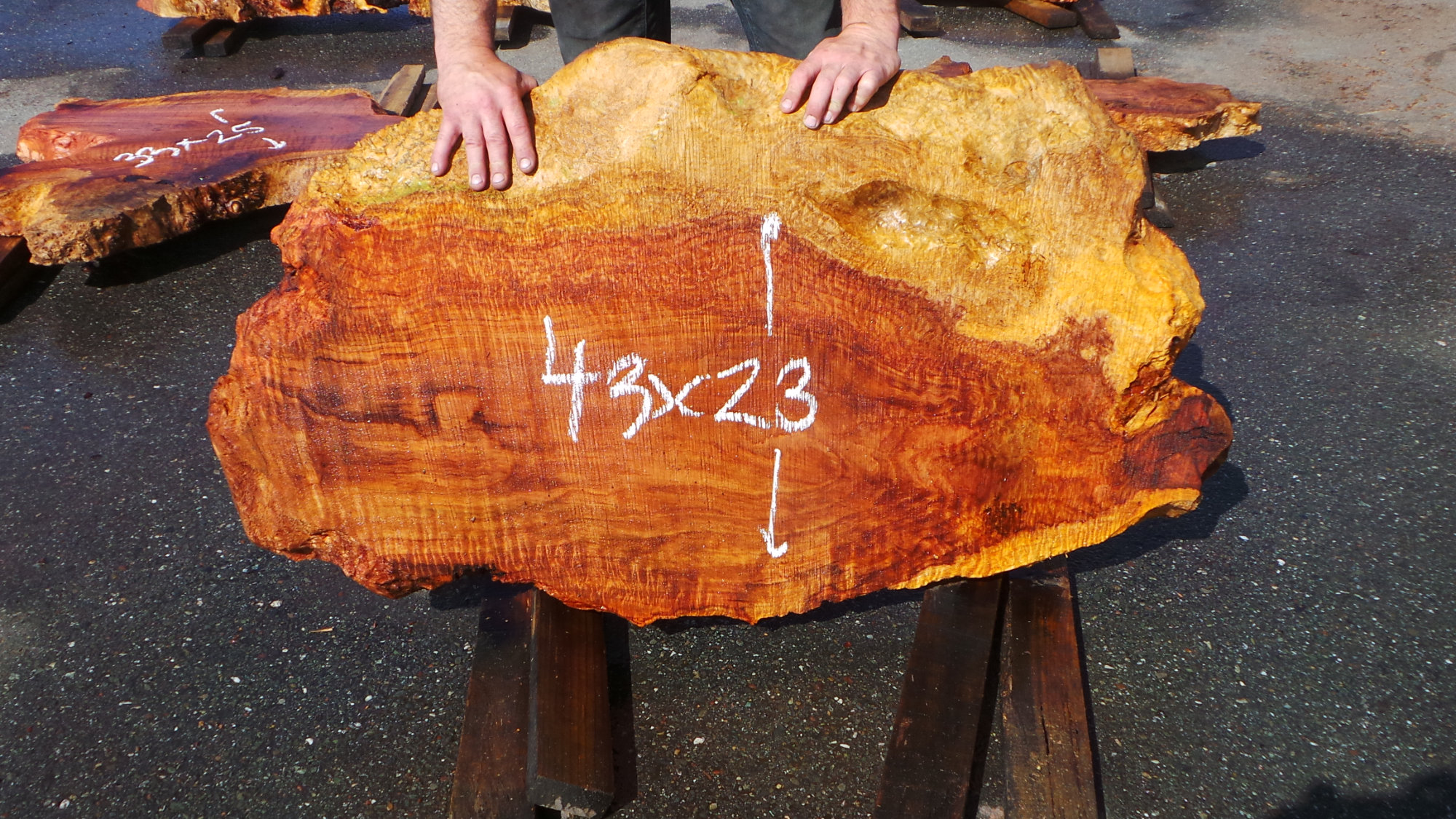 Redwood Burl Slab - For Rustic Live Edge Coffee Table Top