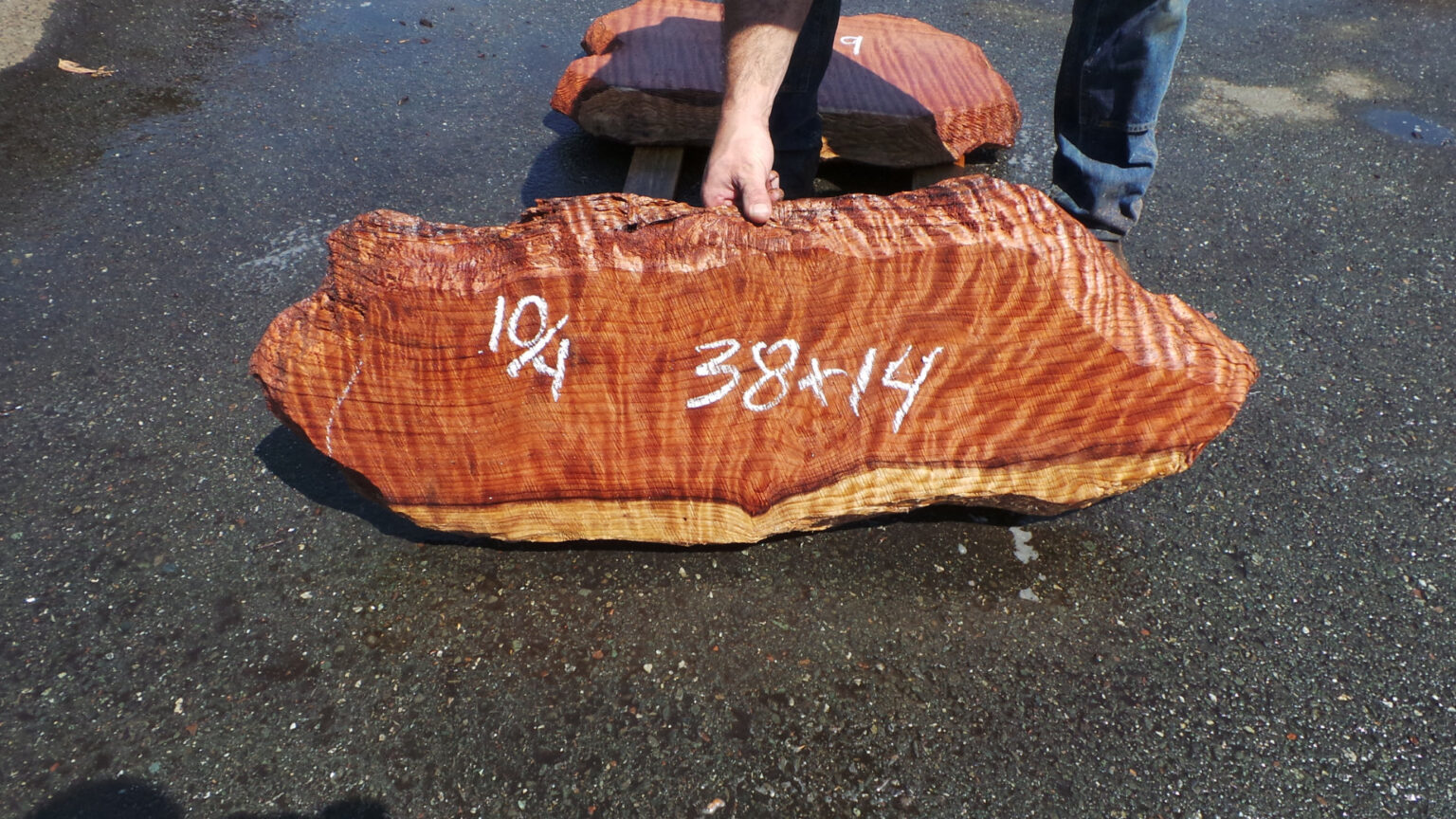SL 313 Redwood Burl Inc sl-313-redwood-burl-inc