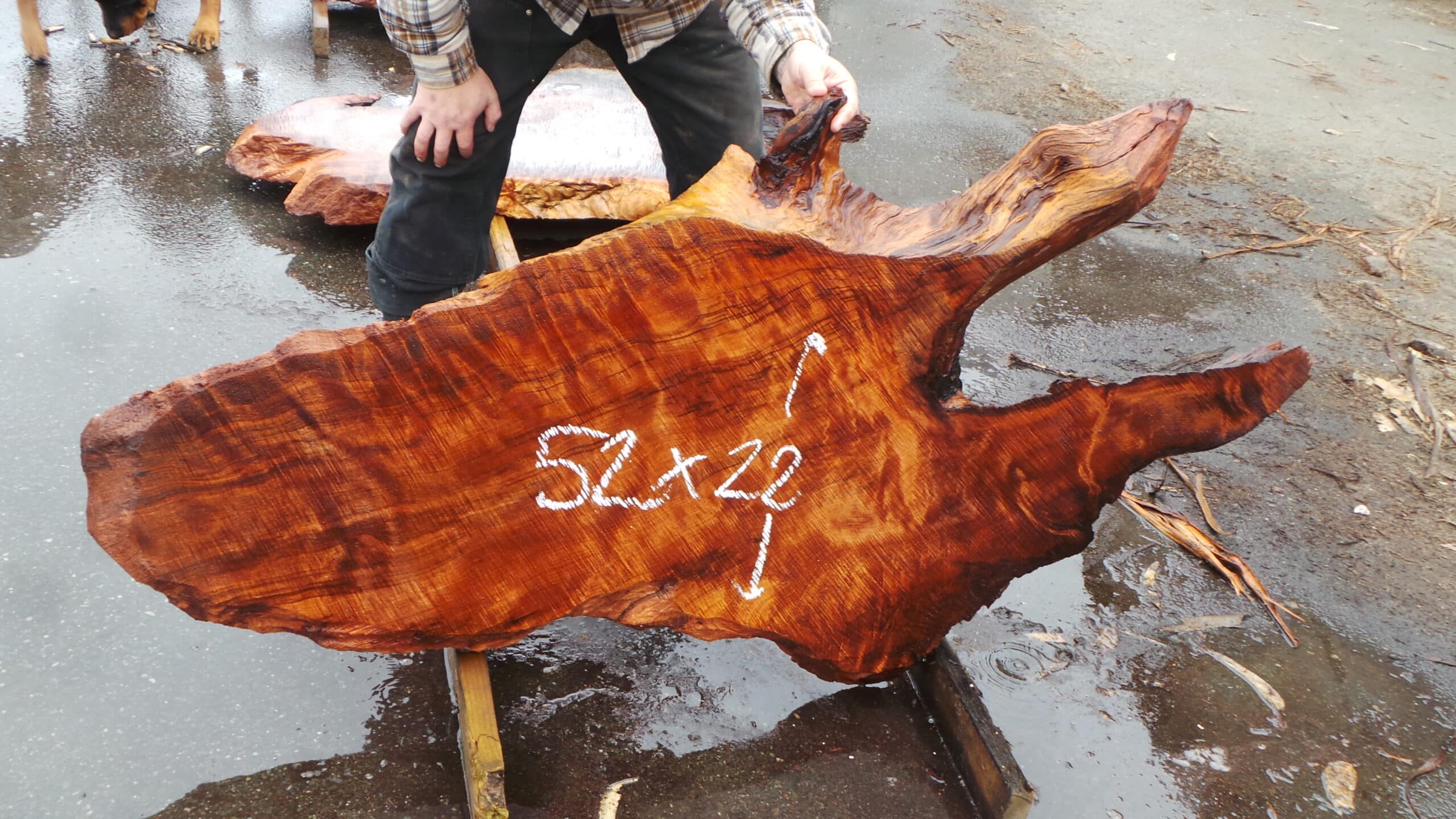 Redwood Burl Live Edge Slab