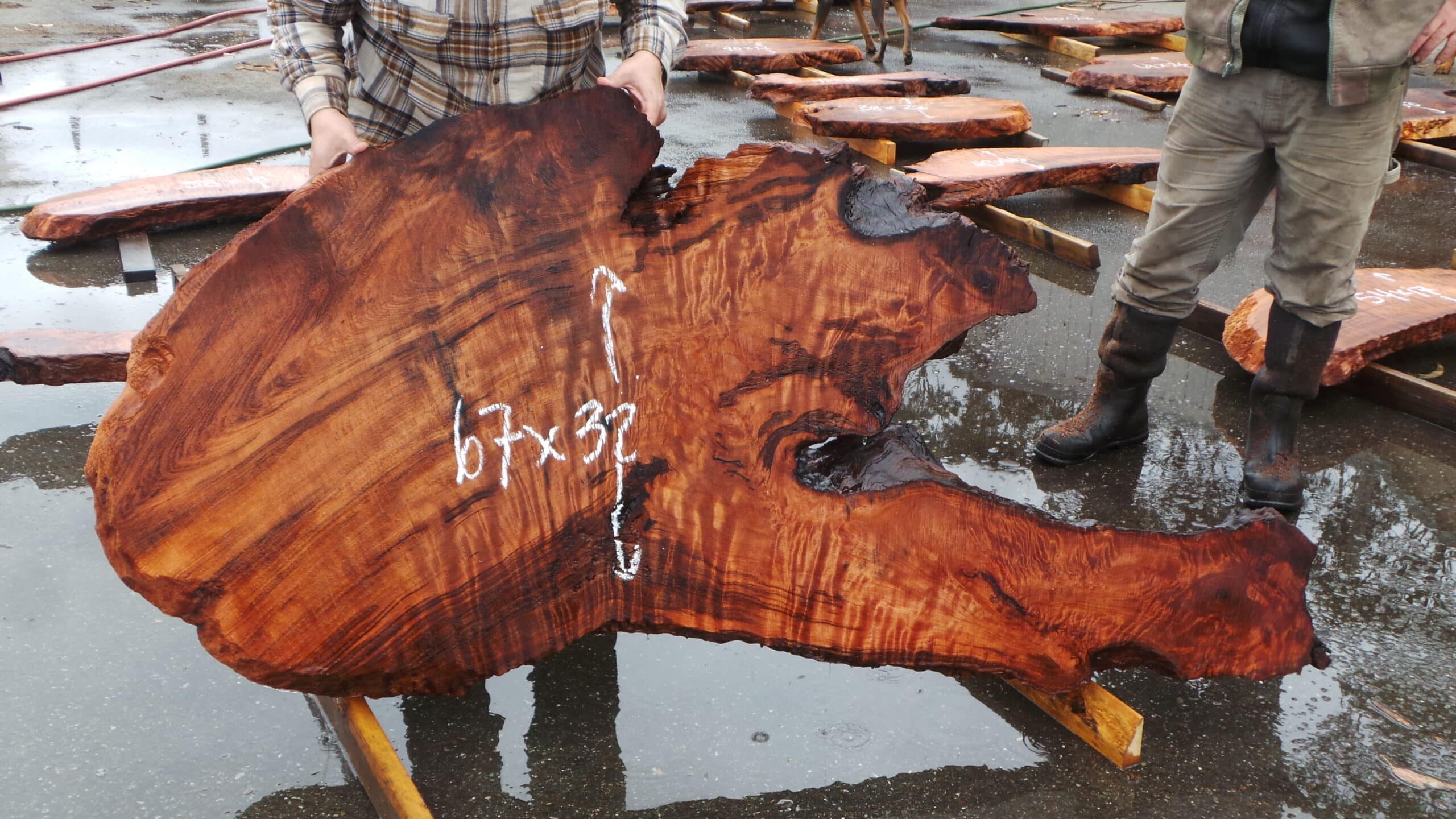 Redwood Burl Live Edge Slab
