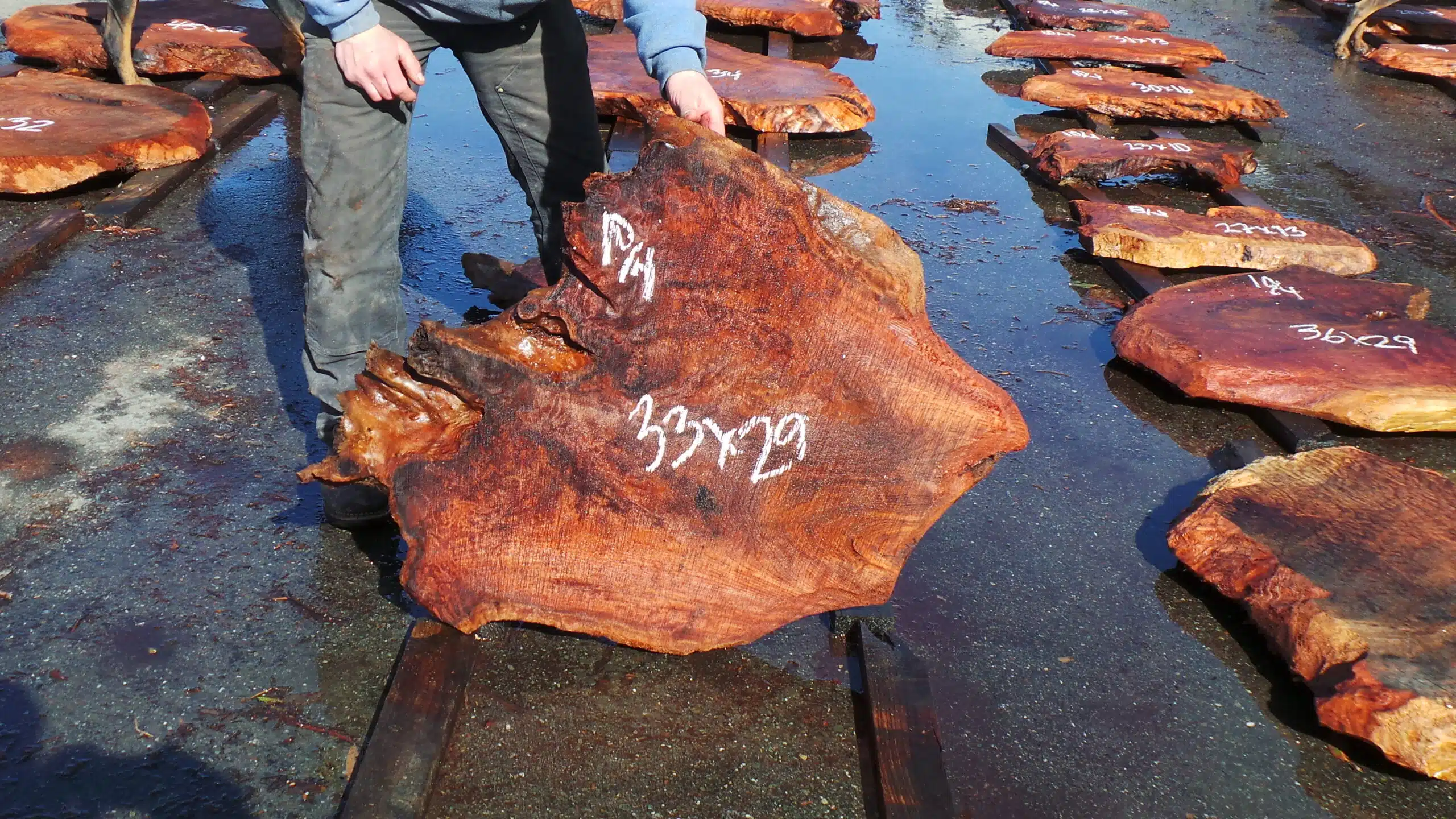 Redwood Burl Slab