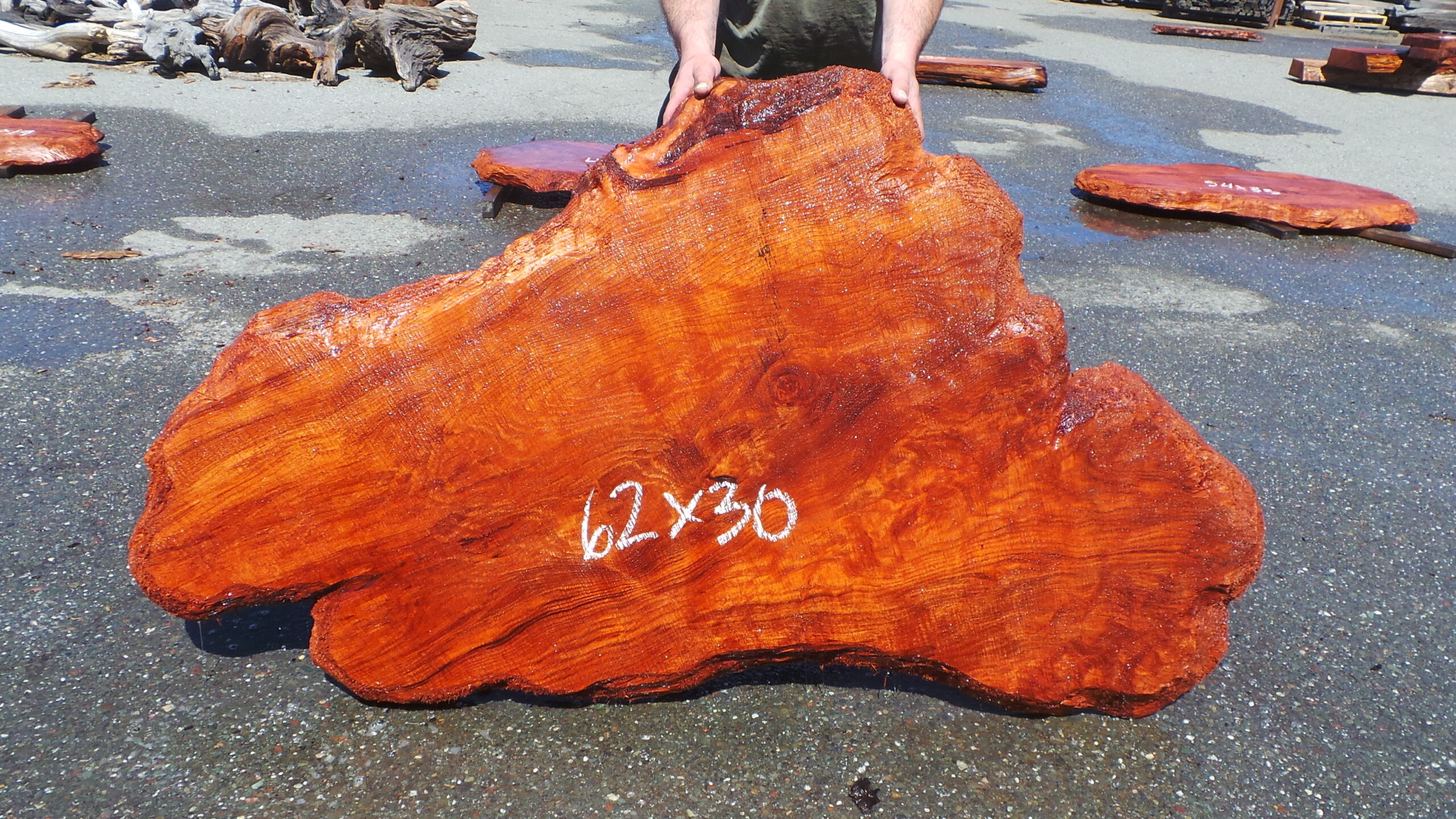 Redwood Burl Slab