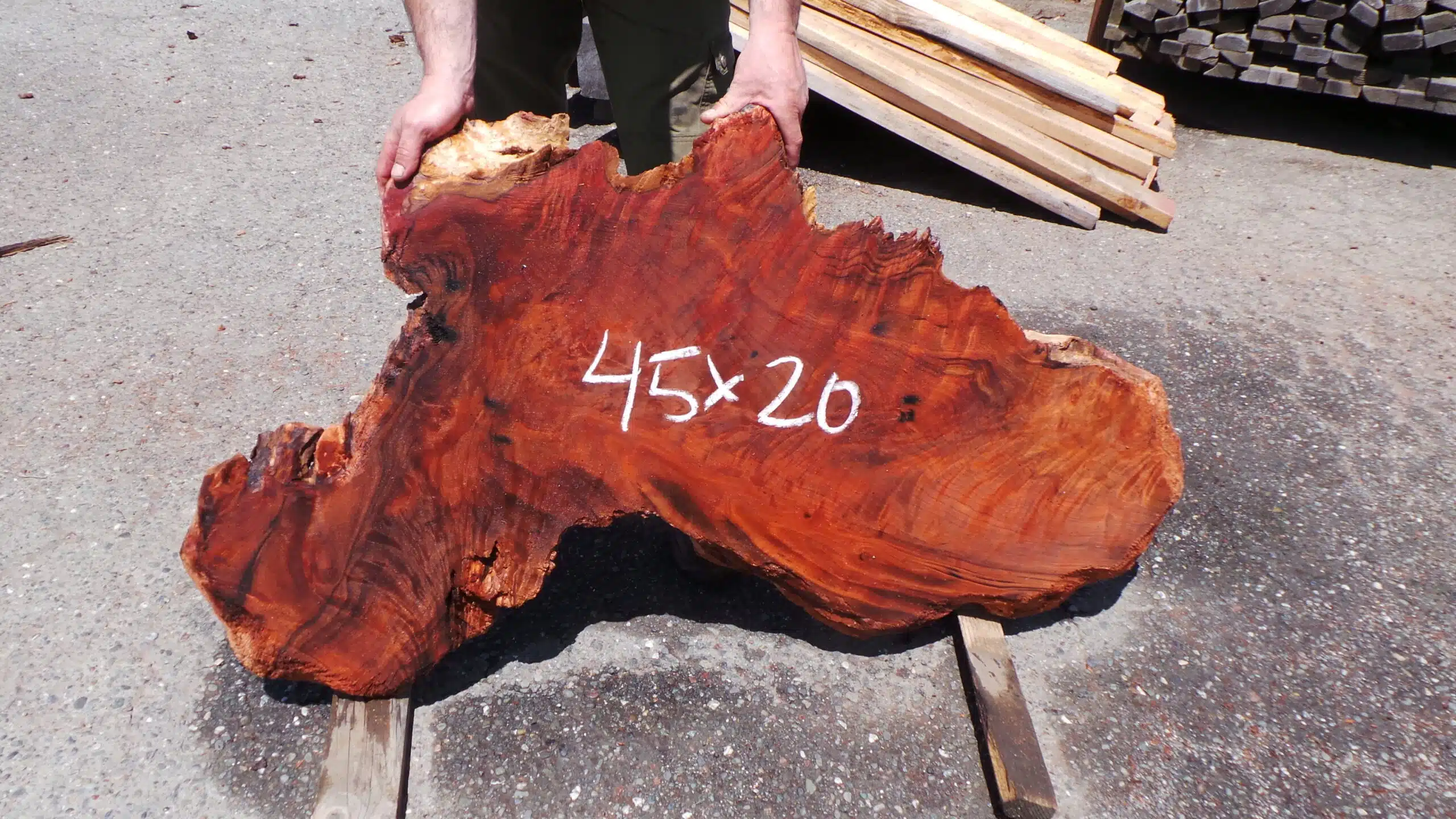 Redwood Burl Slab