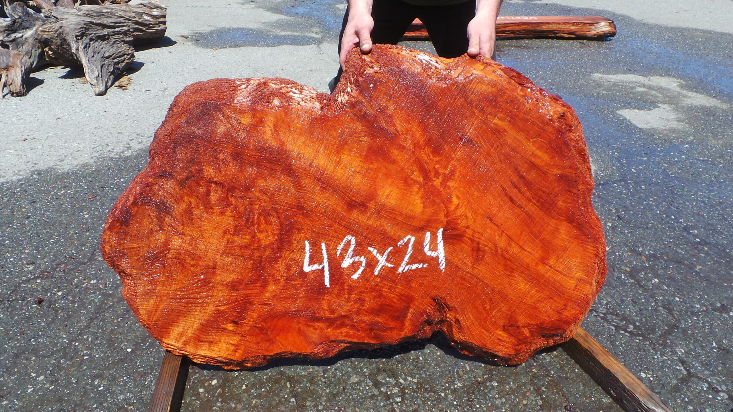 Redwood Burl Slab