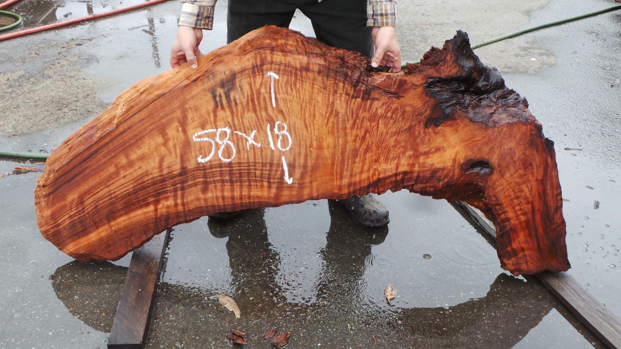 Redwood Burl Live Edge Slab