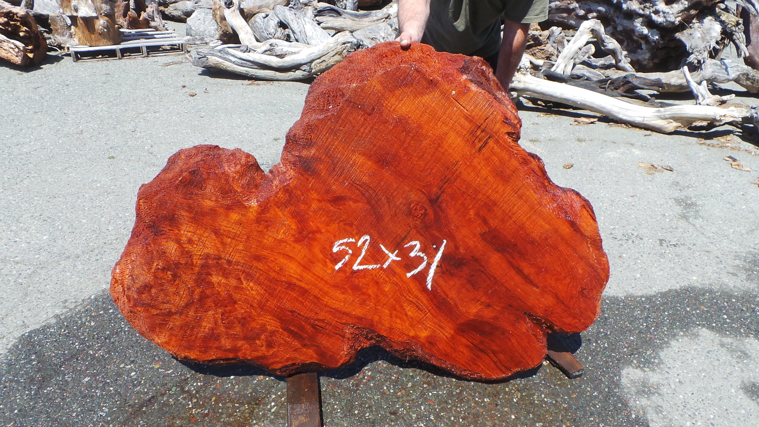 Redwood Burl Slab