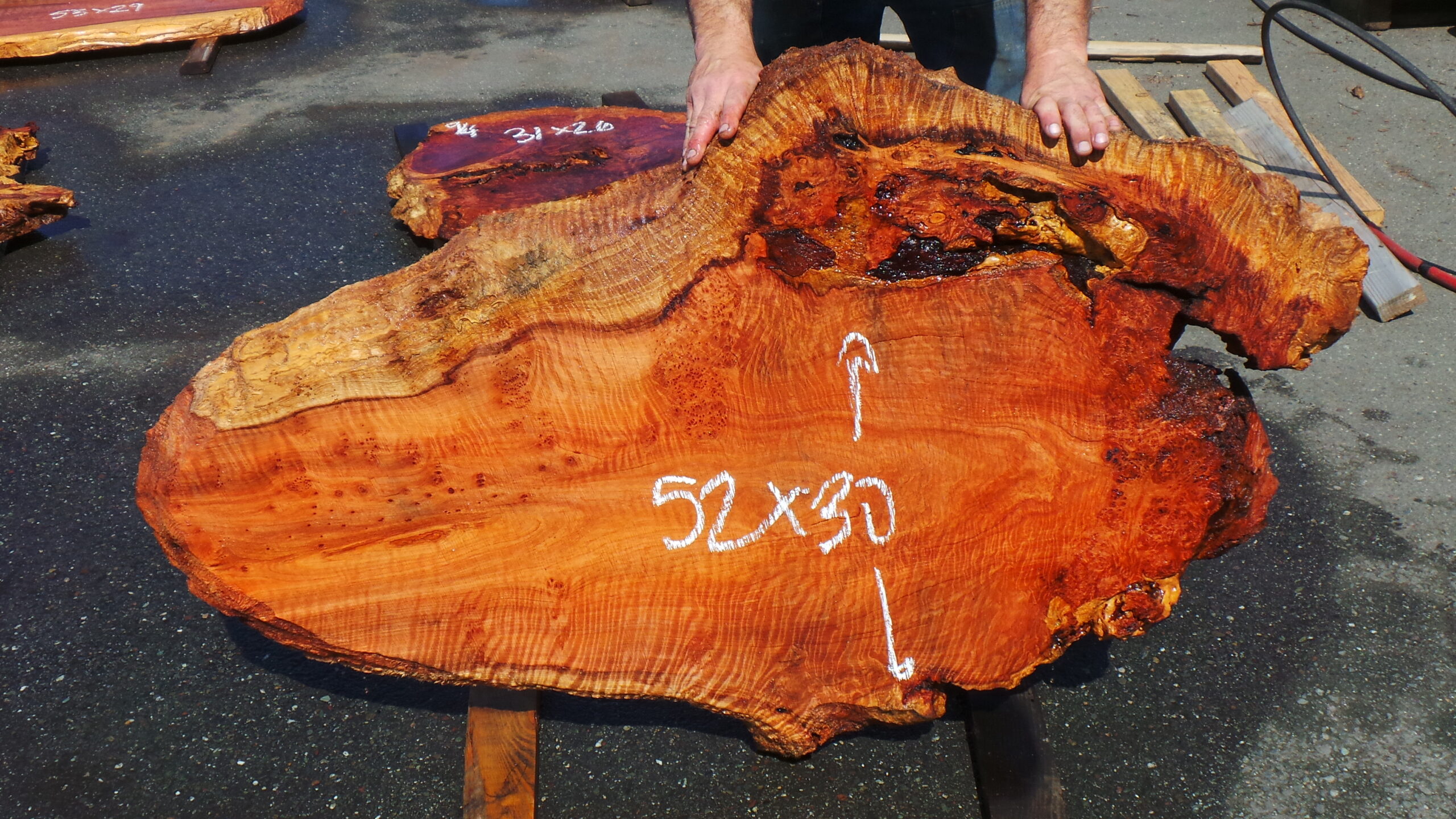 Redwood Burl slab measuring 52 inches by 30 inches and 3 inches thick.