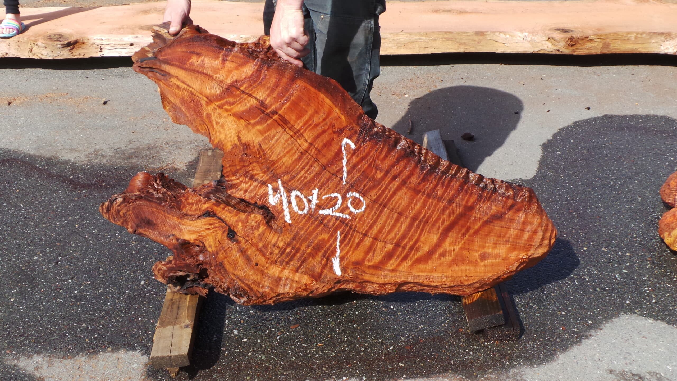 Redwood Burl Live Edge Slab