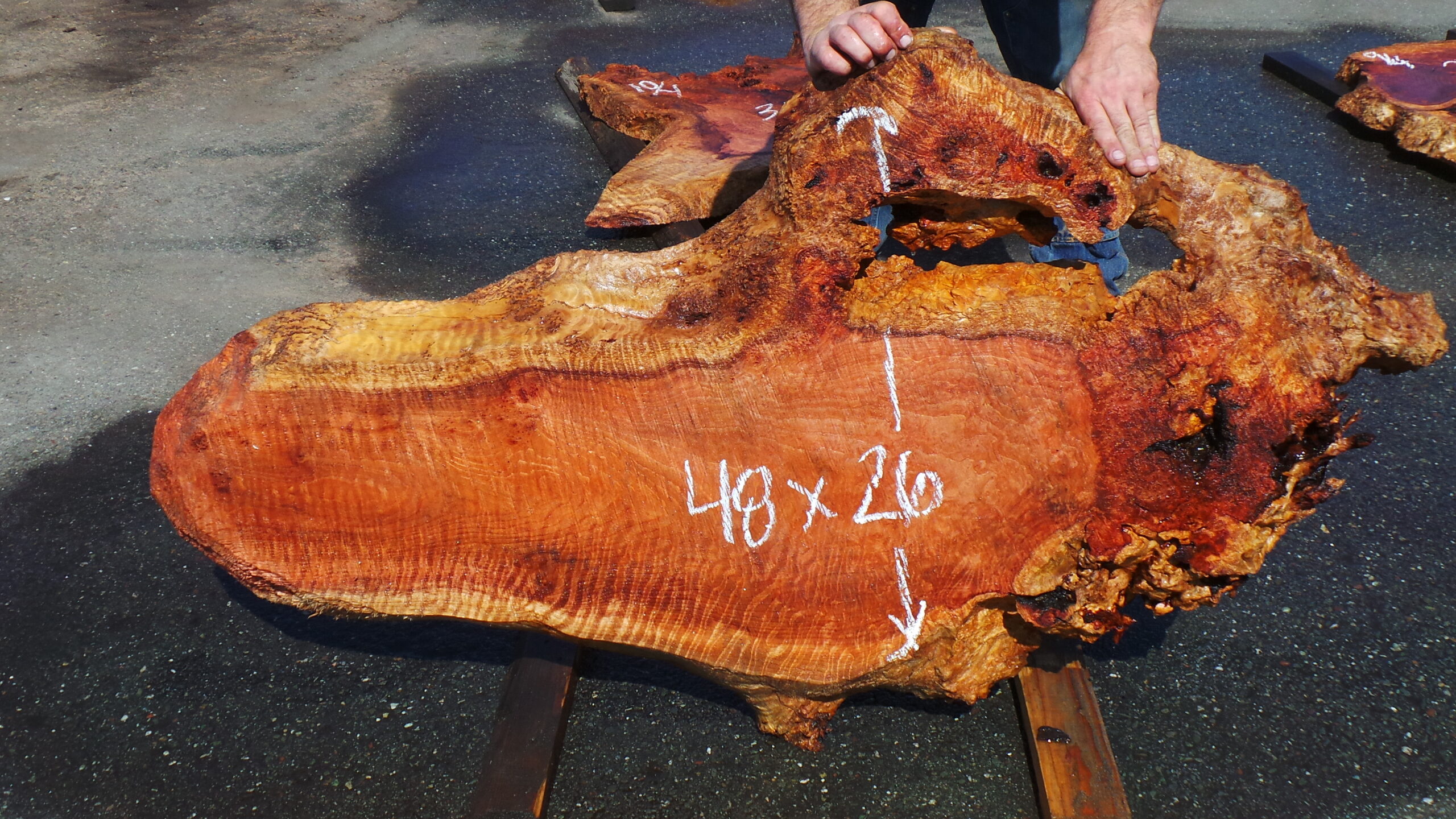 Redwood Burl slab measuring 48 inches by 26 inches and 3 inches thick.