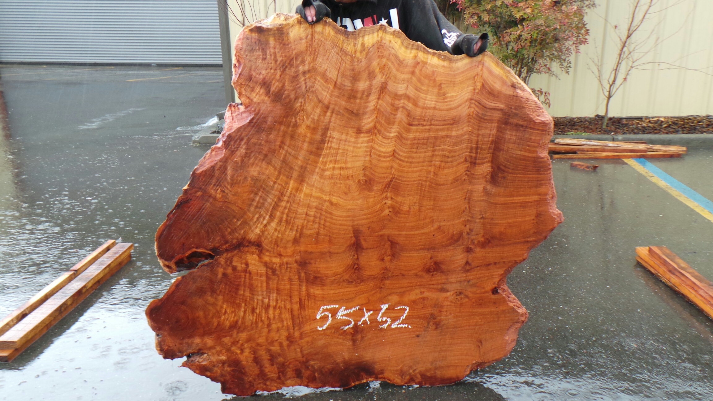 Highly Figured Redwood Slab - Curly Wood Grain and Natural Stripes