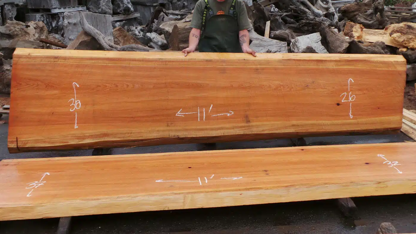 Wood slab kitchen countertop