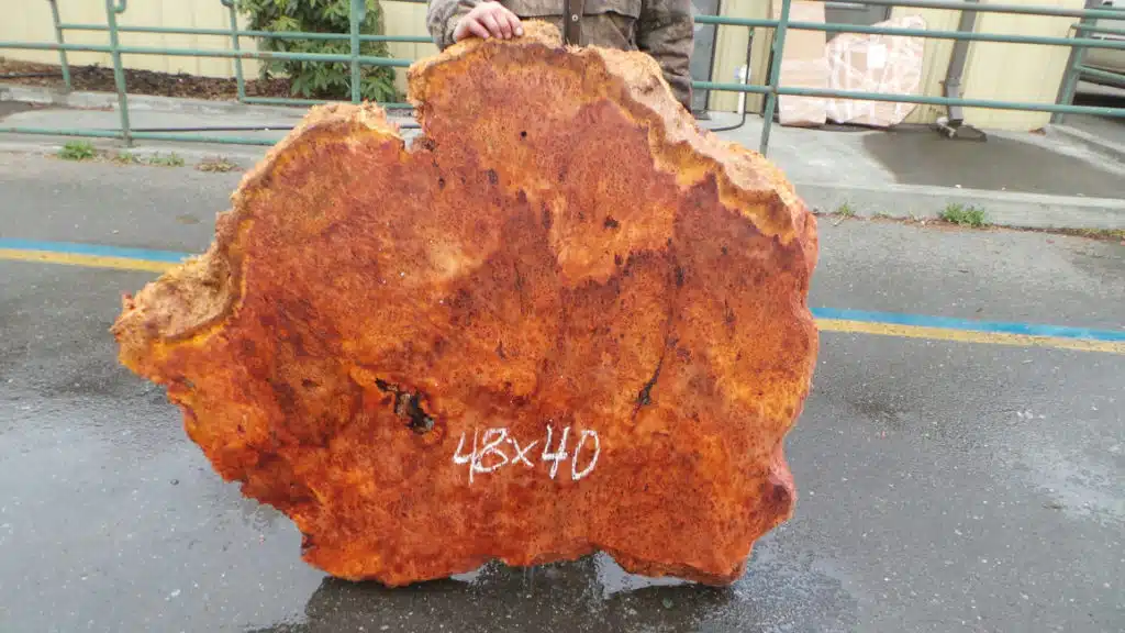 Burl lace slab for sale