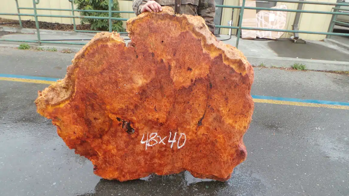 Burl lace slab for sale