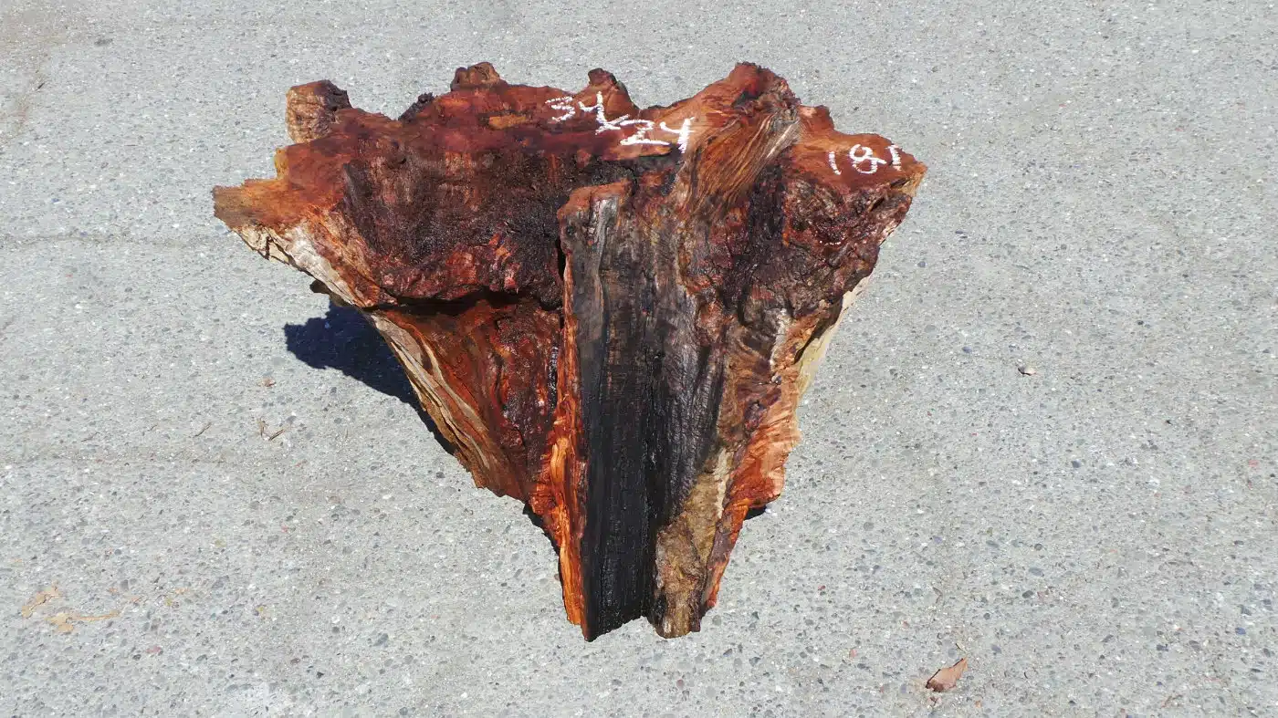 Redwood Root Dining Table Base