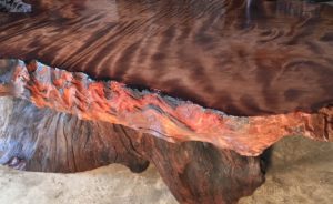 Live Edge Coffee Table - Tree Trunk Rustic Table Base with Redwood