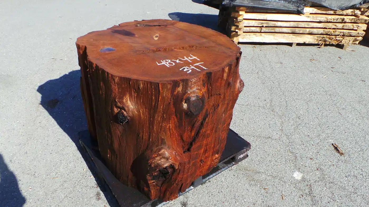 Redwood Trunk Base