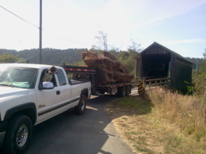 Ethical Salvaging - Hauling Redwood Burls through California