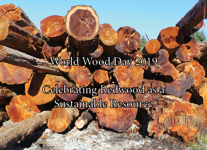 Reclaimed Salvaged Redwood as a natural sustainable resource.
