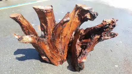 Rustic Table Bases