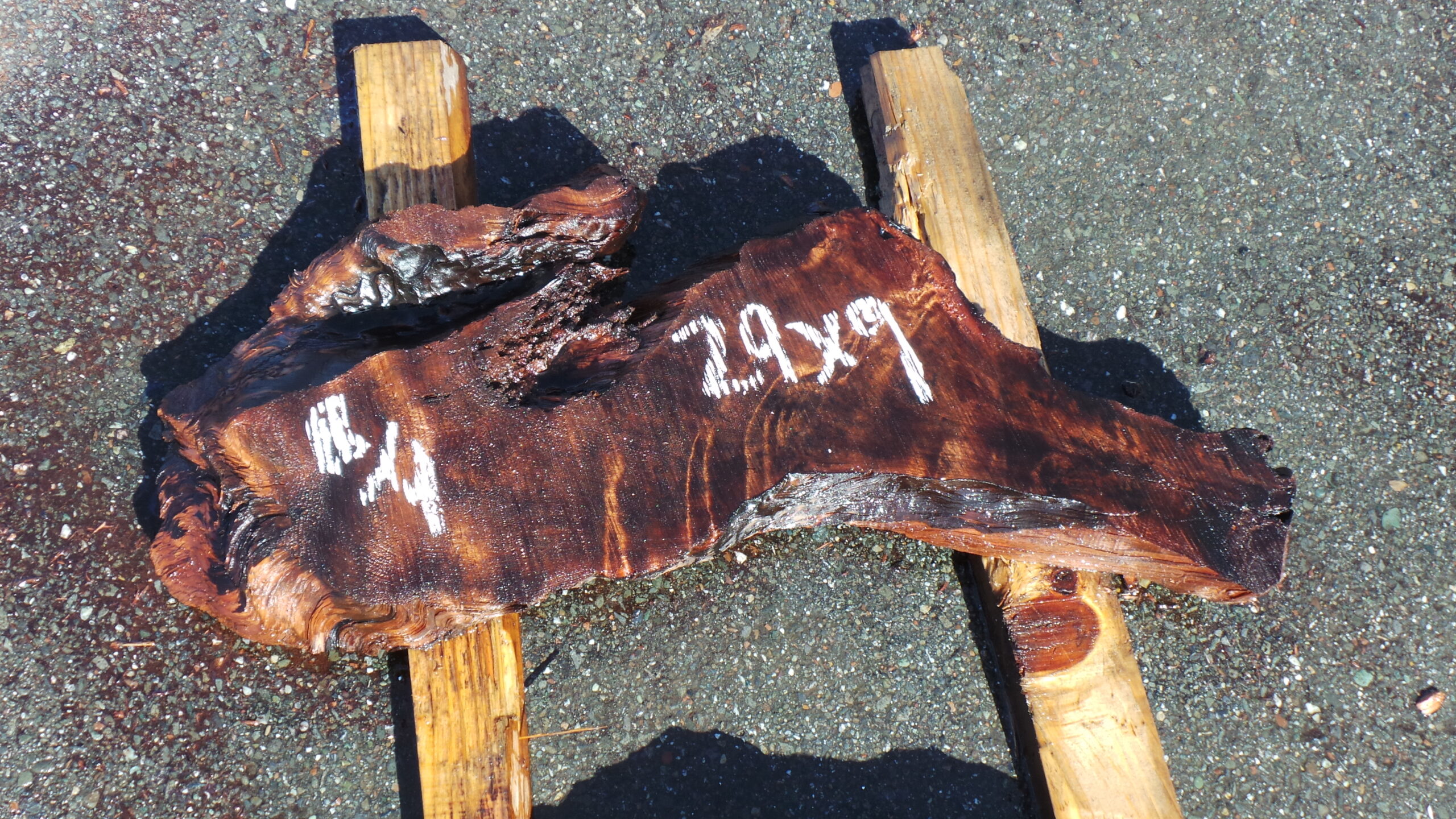 Redwood Burl Slab 29" x 9" x 2"